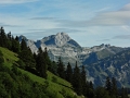 Wanderung Naus Gulms 1836m 14_08_2011 (56)